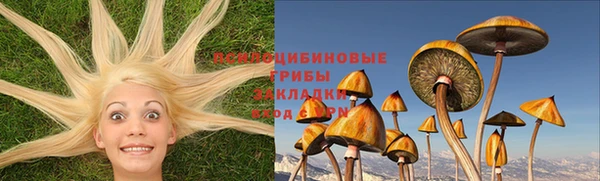 MDMA Premium VHQ Вяземский